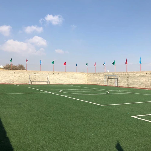 ملاعب عشب