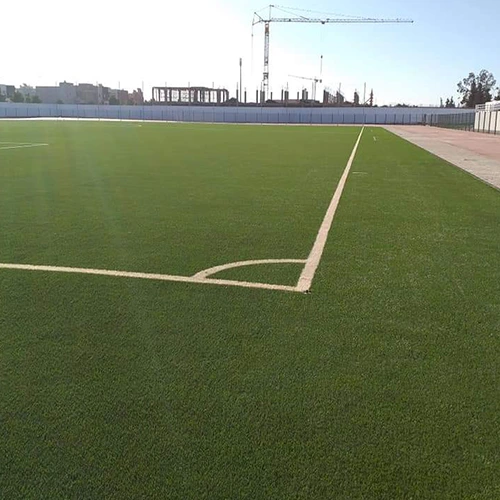 ملاعب عشب