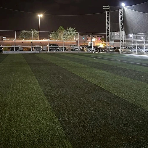 ملاعب
