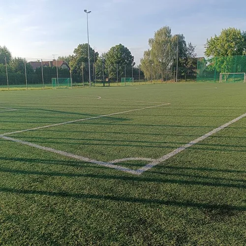 ملاعب عشب طبيعي