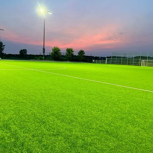 ملاعب عشب طبيعي