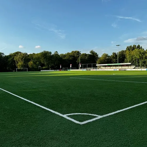 ملاعب عشب طبيعي