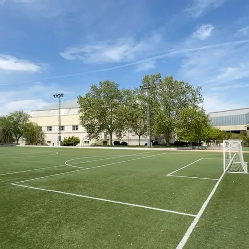 ملاعب عشب صناعي