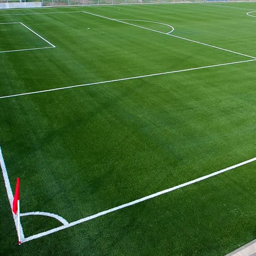 ملاعب عشب