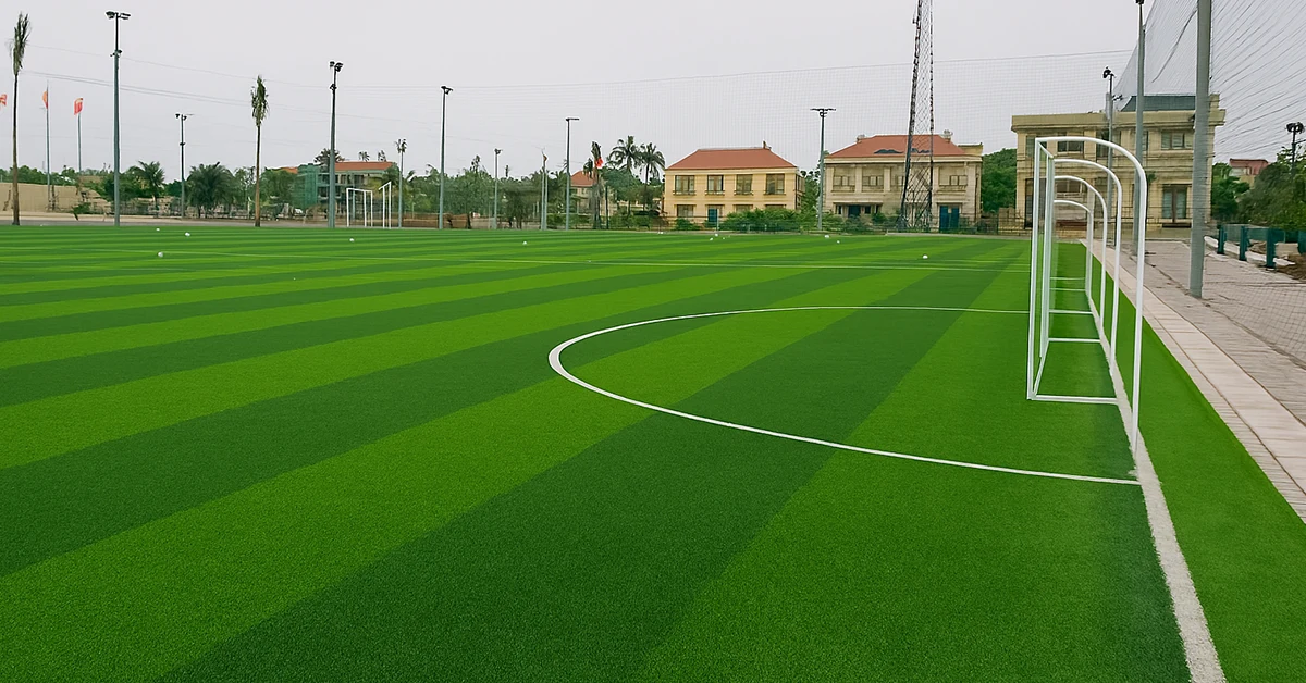 ملاعب عشب طبيعي